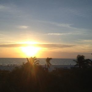 Meet your Posher, Oscar